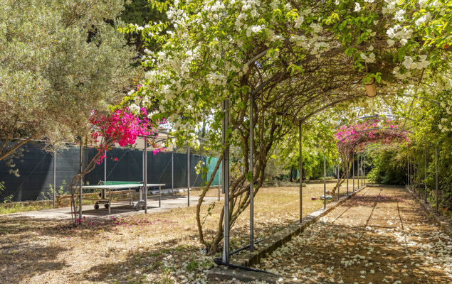 Cicladi Milos - Photo 26