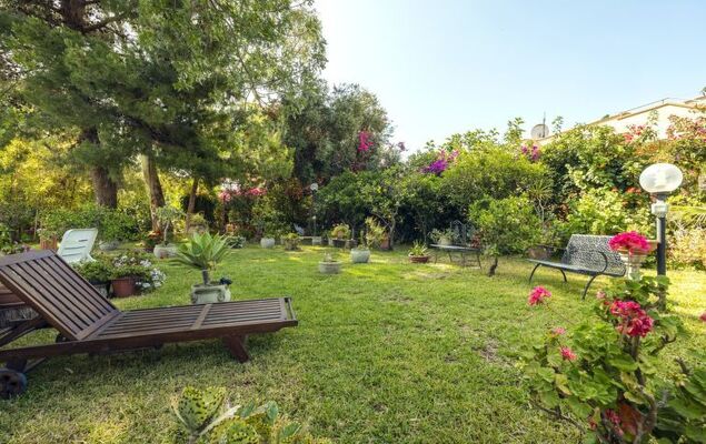 Cicladi Naxos - Photo 29