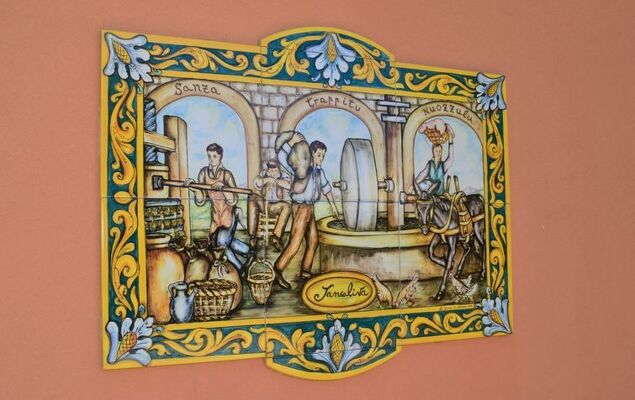 Jancaliva - Photo 23