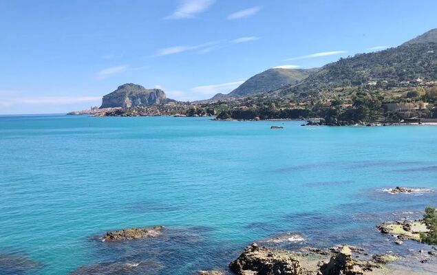 Jancaliva - Photo 24