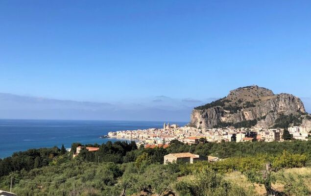 Jancaliva - Photo 25