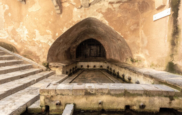 Jancaliva - Photo 26