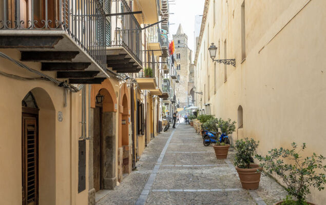 Jancaliva - Photo 31